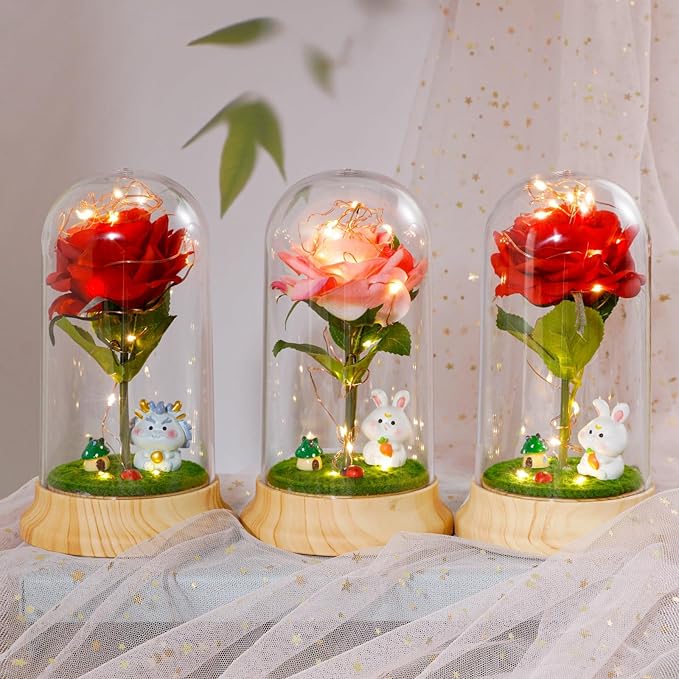 Levvohd Red Roses Birthday Gifts for Mom from Daughte, Beauty and The Beast Rose, Light Up Rose in Dome for Her Girlfriend Mom Christmas Mother Day Valentine Day Gift (Dragon)