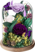 NOVEINN Preserved Flowers in Glass Dome - Eternal Rose Arrangement with Real Preserved Plants, Romantic Forever Rose Gift for Women - Anniversary, Birthday, Mother’s Day, Home Decor(Purple)
