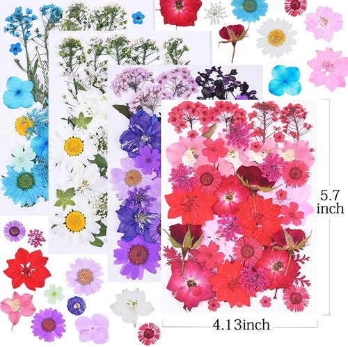 146Pcs Dried Pressed Flowers for Crafts,Xinxinran Dry Flowers Kit for Resin Molds,Epoxy Resin Accessories,Bookmark,Nails, Jewelry Molds,Candle Making Supplies,Soap,Frame(Colorful)