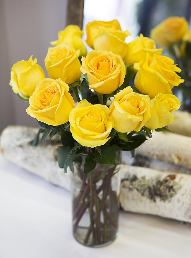 Blooms2Door PRIME NEXT DAY DELIVERY - Fall Collection - Yellow Sunshine Bouquet of 12 Yellow Roses with Vase|.Gift for Birthday, Thank You, Valentine, Mother’s Day Fresh Flowers