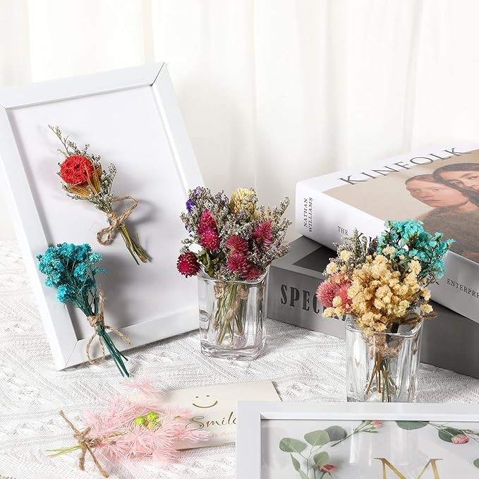 Chengu 20 Pcs Mini Dried Flowers Bouquets Natural Gypsophila Don't Forget Me Bouquets Dry Flower Leaves Dried Embossing Flower Plant Stem Bunch for Vase DIY Wedding Decoration Crafts Photo Props