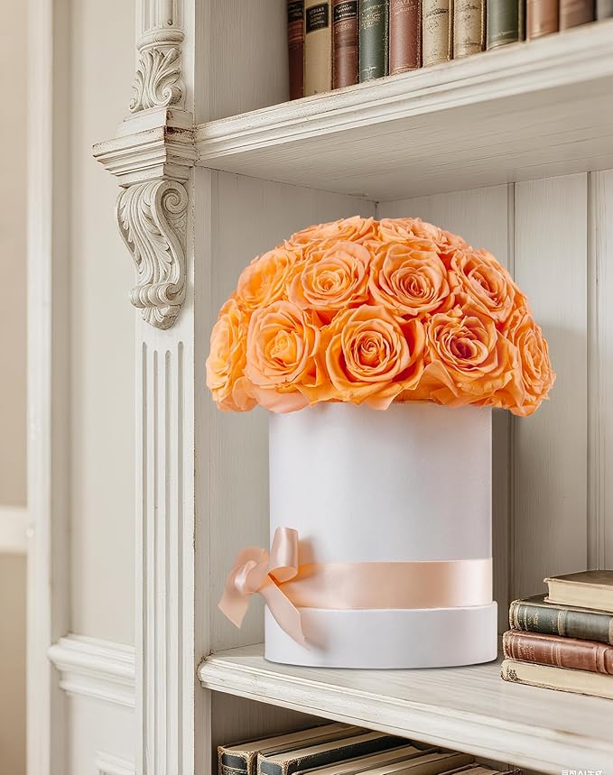 27 Forever Roses Dome in White Box, Eternal Real Roses Gifts for Women, Preserved Flowers for Delivery Prime, Anniversary, Valentine's Day, Christmas, Birthday for Her (Champagne)