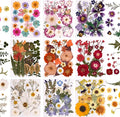 9 Packs of 200 Pressed Dried Flowers and Leaves Real Natural Dried Flowers with Tweezers for DIY Crafts, Resin Jewelry, Card Making, Soap, Candles, Nail Art, and Scrapbooking (9 Colors)