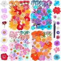 141Pcs Dried Pressed Flowers for Crafts,Xinxinran Dry Flower Kit for Resin Molds,Epoxy Resin Accessories,Bookmark,Nails, Jewelry Molds,Candle Making Supplies,Soap,Frame(Mixed Color)