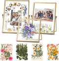 Gold Picture Frame Set - /w 68 Pcs Dried Flowers and Tweezer - Double Glass Frame for Pressed Flowers, Pressed Flower Frames for Handicrafts, Photo or Other Flat Items.