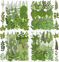 84Pcs Real Natural Dried Pressed Flowers & Green Leaves for DIY Crafts, Resin, Scrapbooking, Frame Decor + 4 Packs + Tweezers