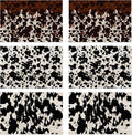 Cow Fur Placemats Set of 6,Washable Heat Resistant 12×18 Inch Linen Table Mats Cow Print Pattern Place Mats for Party Outdoor Dining Décor