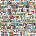 Jillson Roberts Bulk Gift Wrap, Everyday Gift Wrapping Supplies, Books, 1/2 Ream 417 feet x 30 inches