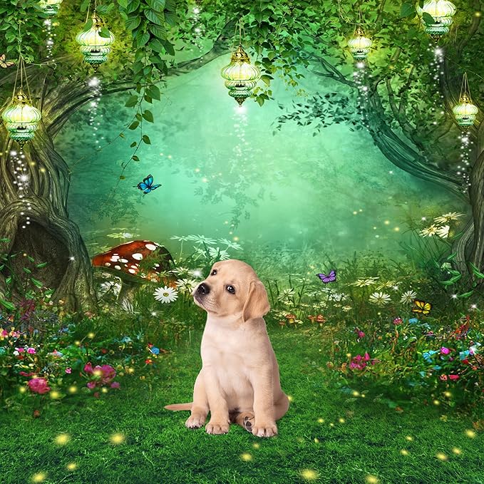 Riyidecor Enchanted Backdrop Polyester Fabric Wonderland Green Fairy Tale Butterfly Woodland Spring 6Wx8H Feet Dream Mushroom Photography Background Baby Shower Birthday Photo Studio Shoot