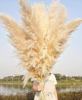 10 Stems 46" inch Dried Pampas Grass Decor Tall, Large Pompas Grass, Boho Neutral Home Decor Bouquet, Fluffy Pampass Grass for Floor Vase Wedding Floral Arrangements Wall Farmhouse Table Decor