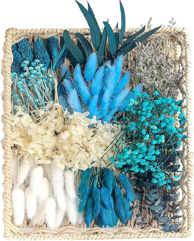 xin's convey Dried Flower with Stem for Vases, Dried Floral Bouquet, Mini Dried Flower Arrangements. (Blue)