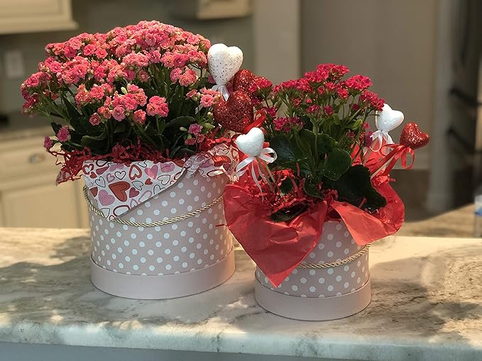 UNIKPACKAGING Premium Quality Round Flower Box, Gift Boxes for Luxury Flower and Gift Arrangements, Set of 3 pcs with Lids Size (S/M/L), Pink White Dots