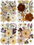 Boho 88Pcs Real Natural Dried Pressed Flowers for DIY Crafts, Resin Jewelry, Scrapbooking, Frame Decor + Free 66Pcs Butterfly Stickers & Tweezers