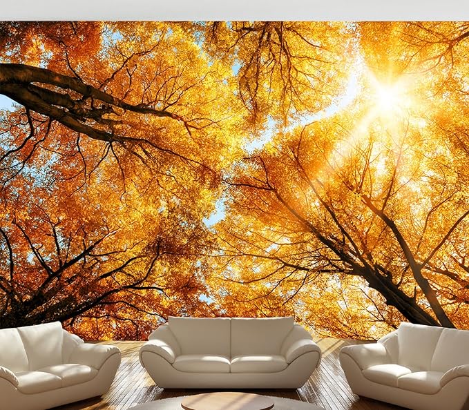 Cliouar-Warm Autumn Sun Shines Through The Golden Crowns of Tall Beech Trees Peel and Stick 137" x 102"