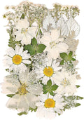 White Dried Pressed Flowers for Crafts,Real Natural Dried Flowers and Leaves for Resin Mold Scrapbooking DIY Candle Making Gifts（Modern Style）