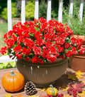 Ivydale Artificial Faux Red Flowers Plants for Outdoor Outside Winter Christmas Decor, Fake Silk Camellia UV Resistant Look Real for Planter Porch Patio Balcony Garden Table Indoor, 3 Large Bundles