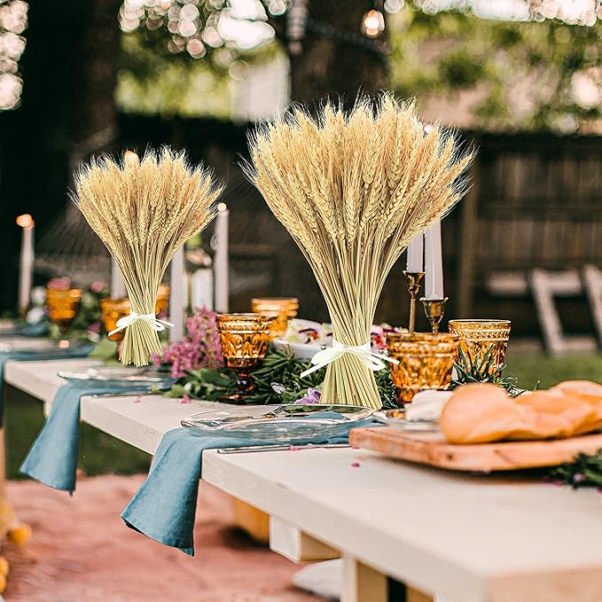 Uieke 600 Stems Dried Wheat Stalks, 17.7 Inches Dried Flowers 100% Natural Wheat for Home Kitchen Wedding Party Table Centerpiece Harvest Wreath Boho Farmhouse DIY Decoration