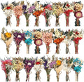 Layhit 24 Pcs Boho Dried Flower Bouquet Mini Wedding Handmade Dry Flowers Decor for Vase Crafts DIY Photo Boutonniere for Men Floral Plant for Bridesmaid Gift Birthday Decor(Colorful)