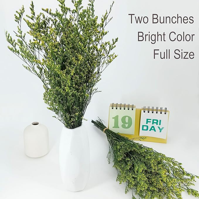 Birtlynn Preserved Caspia Statice Flower Bouquets, 100% Natural Long Lasting Flowers, 17 Inch Arrangements for Vase, Home Decoration Photo Props Parties and Weddings, DIY Décor-Statice Green