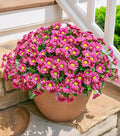 Daisy Artificial Flowers for Outdoors Winter Decoration, 6 Bundles Fake Mums Dark Red Silk Flowers for Outside Look Real UV Resistant Faux Flowers Plants for Planter Front Door Home Indoor Porch