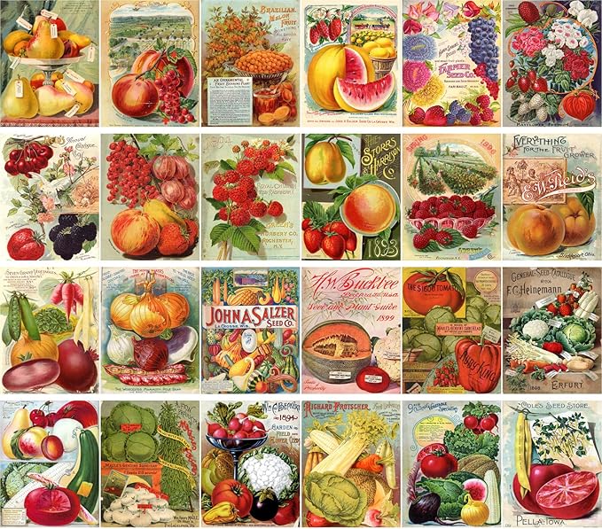 Large Stickers (24 pcs 2.5"x3.5") Veges and Fruits Vintage Seed Pockets Gardens