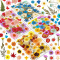 Real Dried Pressed Flowers for Resin, Natural Dry Flowers Leaves Bulk Herbs Kit for DIY Scrapbooking Stamping Supplies Epoxy Resin Jewelry Molds Candle Soap Making Nails Décor Art Crafts
