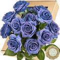 FiveSeasonStuff Fake Roses Wedding Flowers Real Touch Silk Midnight Blue Artificial Flowers 12 Stems