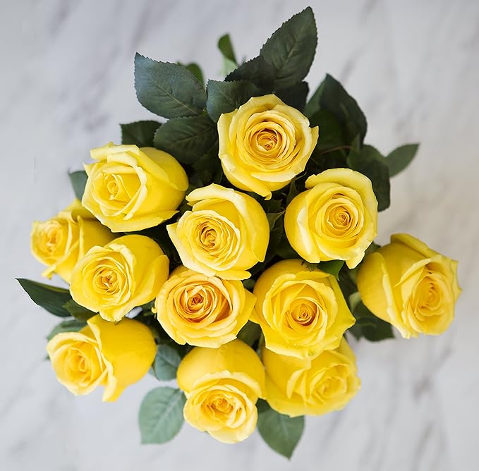 Blooms2Door PRIME NEXT DAY DELIVERY - Fall Collection - Yellow Sunshine Bouquet of 12 Yellow Roses with Vase|.Gift for Birthday, Thank You, Valentine, Mother’s Day Fresh Flowers