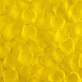 Separated 1000 PCS Artificial Yellow Rose Petals for Romantic Night,Faux Yellow Flower Petals for Flower Girl Weddings Party Romantic Decoration(Ready-to-use)