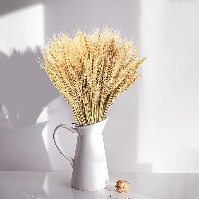 Uieke 17.7 Inches Dried Wheat Stalks, 100 Stems Dried Flowers 100% Natural Wheat for Home Kitchen Wedding Party Table Centerpiece Harvest Wreath Boho Farmhouse DIY Decoration