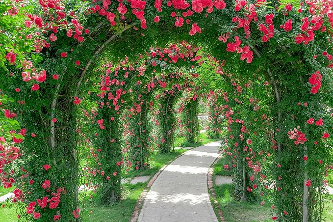 5ftx4ft Spring Flower Garden Backdrop Blossoms Flower Arch Garden Architecture Pillars Blooming Flowers Garden Path Photo Background Outdoor Wedding Portraits Photo Studio Props Wallpaper