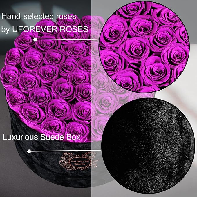 40 Pieces Preserved Roses in Suede Box, Flowers for Mothers Day, Preserved Flowers Gift for Women, Purple