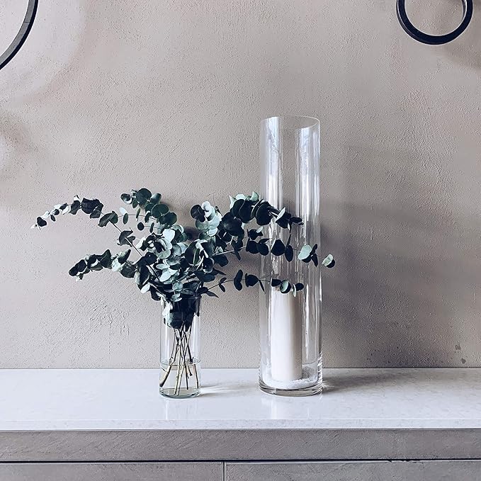 WGV Cylinder Vase Bulk, Diameter 5", Height 20", Clear Glass Floral Planter Container, Tall Centerpiece Arrangement for Wedding Party Event Home Office Decor, 6 Pieces