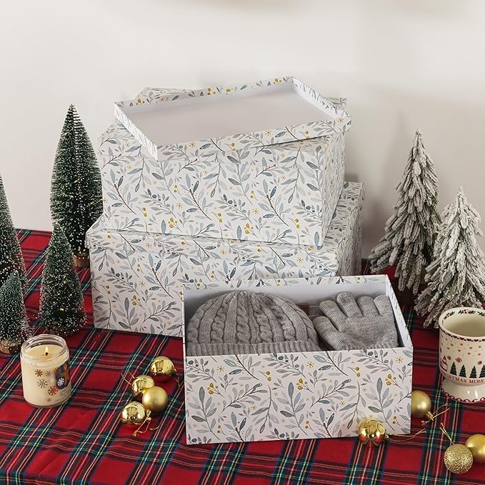Soul & Lane Decorative Cardboard Storage Boxes with Lids for Home Decor and Organization, Set of 3 Large Keepsake Boxes for Memories & Gifts, Nesting Floral Photo Storage Containers, Winter Blossom
