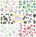 300 PCS PVC Taro Leaf Stickers, Self-Adhesive PVC Greenery Stickers Nature Plant Decals for Scrapbook, Laptop, Journal, DIY Project, Spring Themed Party Decors