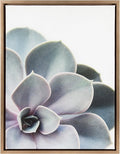 Kate and Laurel Sylvie Succulent Framed Canvas Wall Art by F2 Images, 18x24 Gold