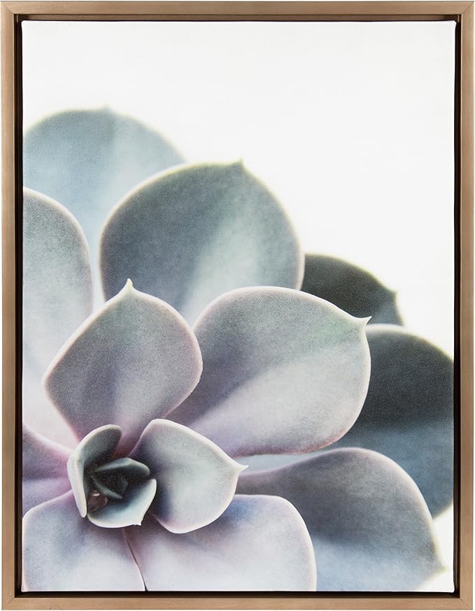 Kate and Laurel Sylvie Succulent Framed Canvas Wall Art by F2 Images, 18x24 Gold