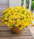 Daisy Artificial Flowers for Outdoors Fall Autumn Decoration, 6 Bundles Fake Mums Yellow Silk Flowers for Outside Look Real UV Resistant Faux Flowers Plants for Planter Front Door Home Indoor Porch