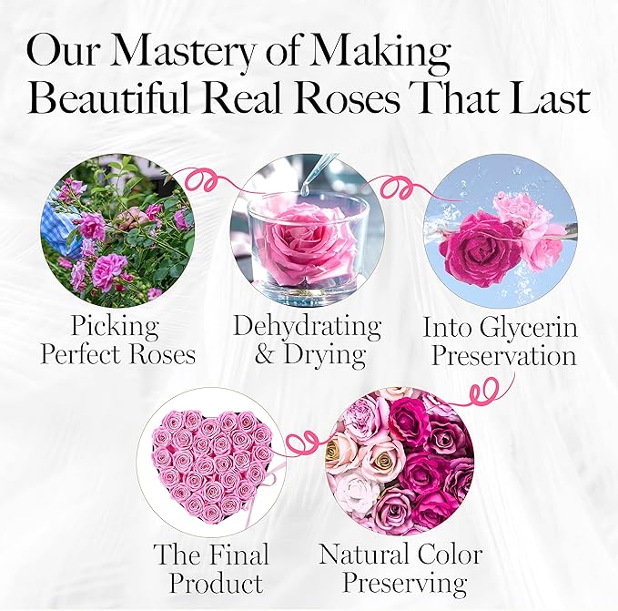GLAMOUR BOUTIQUE 27 Flower Forever Heart Shape Box - Preserved Roses Gift for Her, Preserved Flowers, Pink