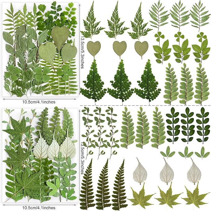 84Pcs Real Natural Dried Pressed Flowers & Green Leaves for DIY Crafts, Resin, Scrapbooking, Frame Decor + 4 Packs + Tweezers