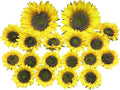 Artificial Flower 18pcs Three Different Sizes of Silk Sunflower Heads Real Looking Fake Sunflower for Hat Trim Cake Flower Home Décor Flower Wall Fence Wreath Wedding Baby Shower(Yellow)