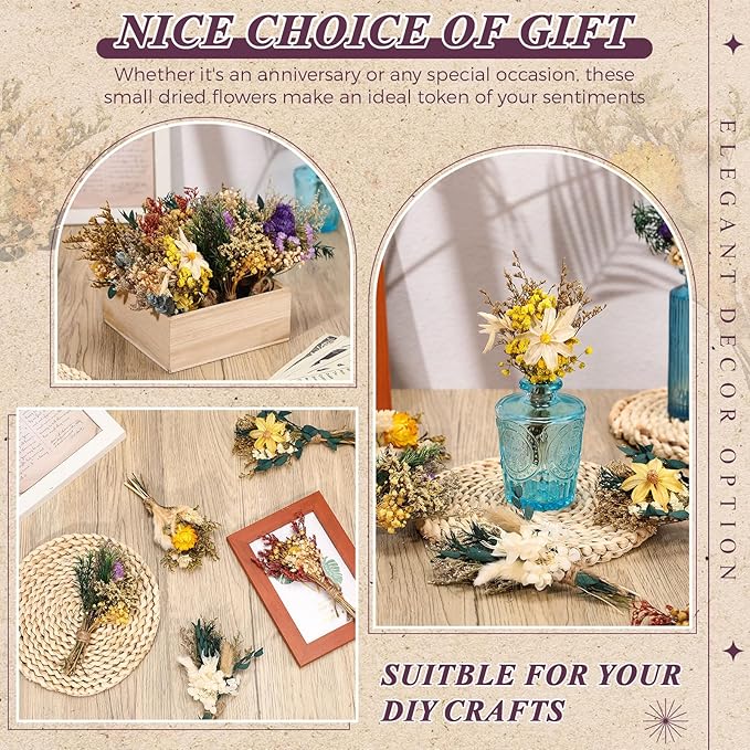 Layhit 24 Pcs Boho Dried Flower Bouquet Mini Wedding Handmade Dry Flowers Decor for Vase Crafts DIY Photo Boutonniere for Men Floral Plant for Bridesmaid Gift Birthday Decor (Vivid)