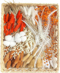 xin's convey DIY Autumn Natural Dried Flower Kit, Dried Flower Bouquets for Vase, Table Decorations(Orange)